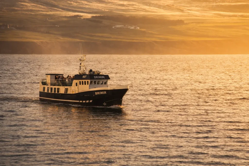 whale watching boat Hjalteyri North Iceland