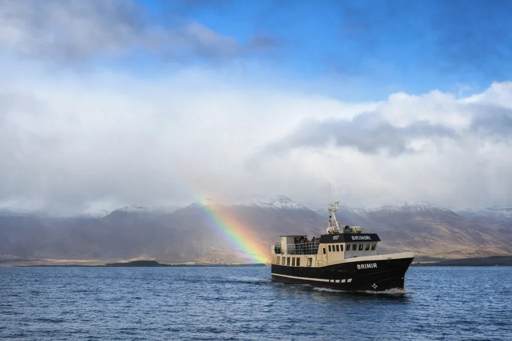 whale watching boat Hjalteyri North Iceland